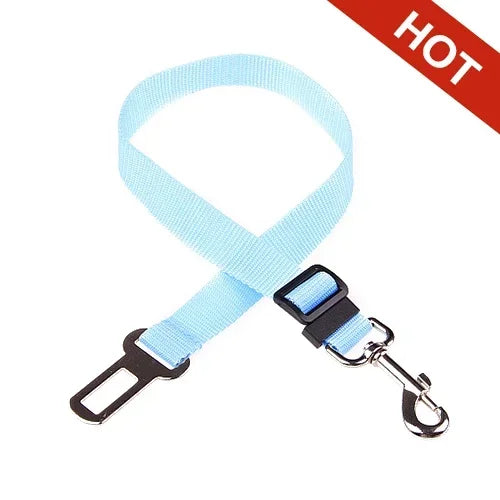 Sky blue plain-webbing tether