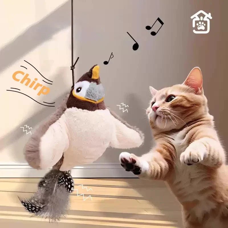 Grey bird hanging near a cat