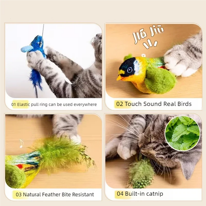 Feature collage of bird and feather tail