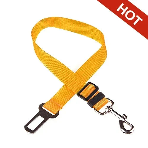 Yellow plain-webbing tether