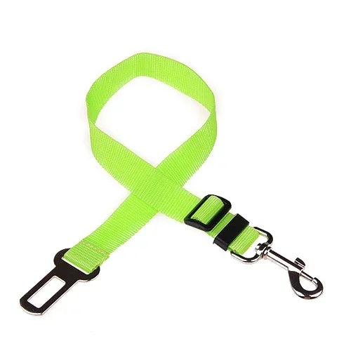 Light green plain-webbing tether