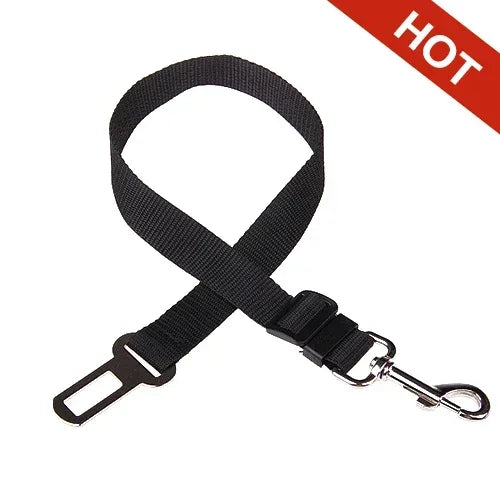Black plain-webbing tether