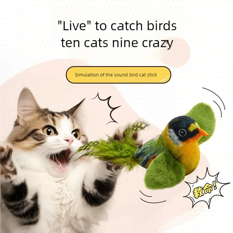 Cat approaching green bird toy