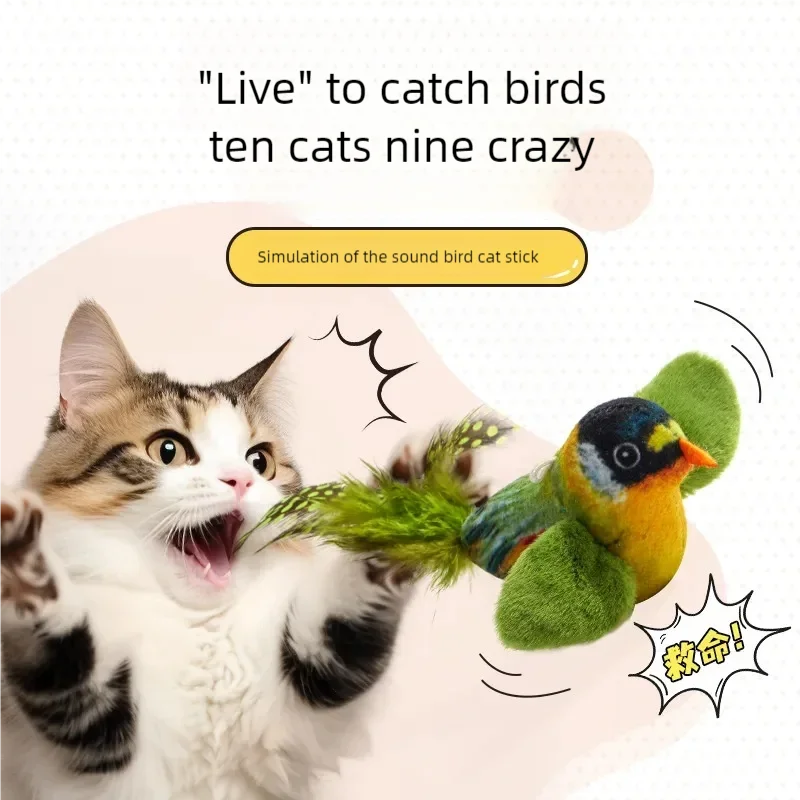 Cat approaching green bird toy