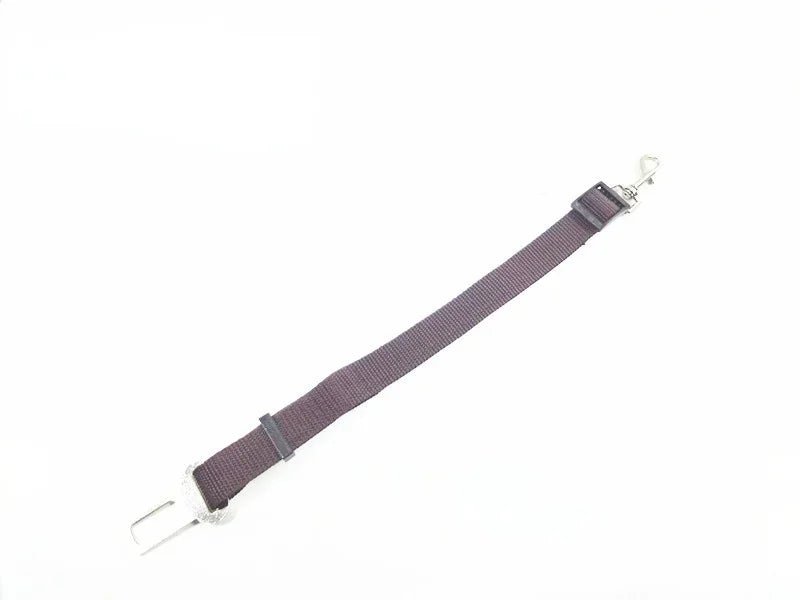 Extended grey plain-webbing tether