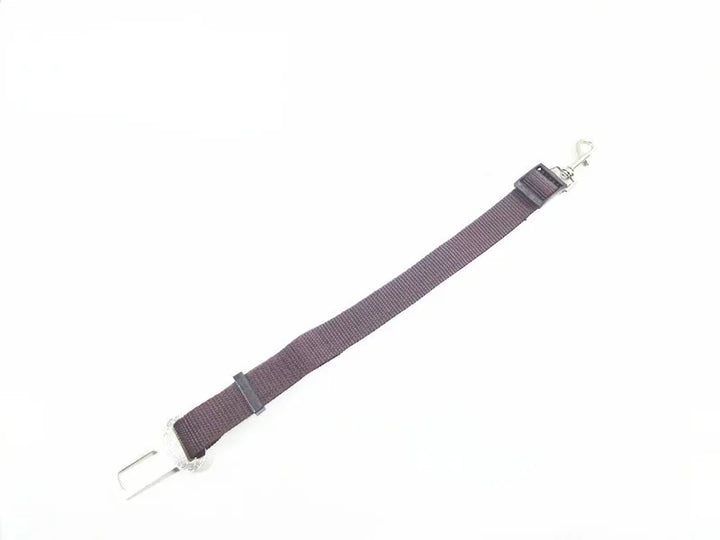 Extended grey plain-webbing tether