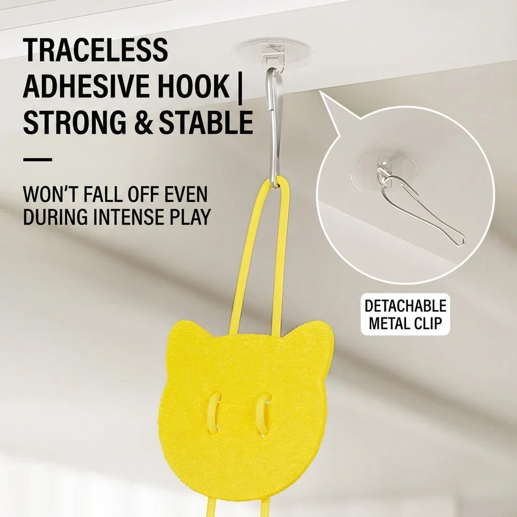 Adhesive hook and detachable hanging clip
