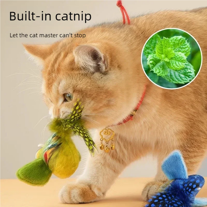 Supplier catnip illustration