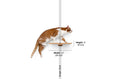 Bild in Galerie-Betrachter laden, Cat Perch wall-mounted wooden cat shelf, 12" wide by 3" tall
