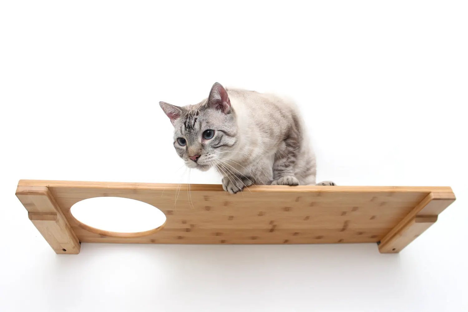 Wall Mounted Cat Shelf in natural wood with circular cutout, cat perched on top.