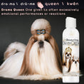 Load image into Gallery viewer, Shih Tzu Rich Bitch & Drama Queen Shampoo
