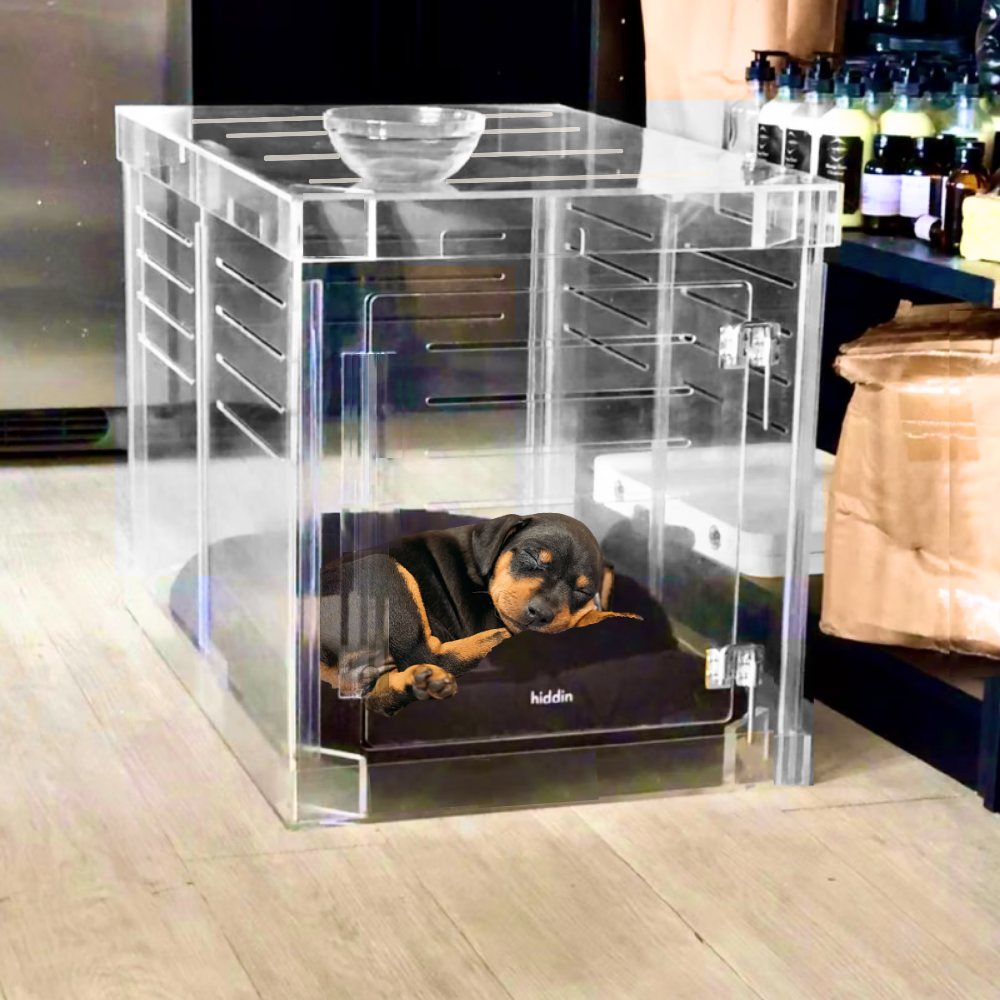 Hiddin Clear Acrylic Dog Crate – Medium, Silver Latch