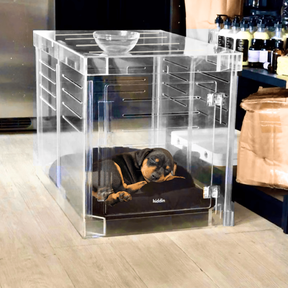 Hiddin Clear Acrylic Dog Crate – Small, Silver Latch