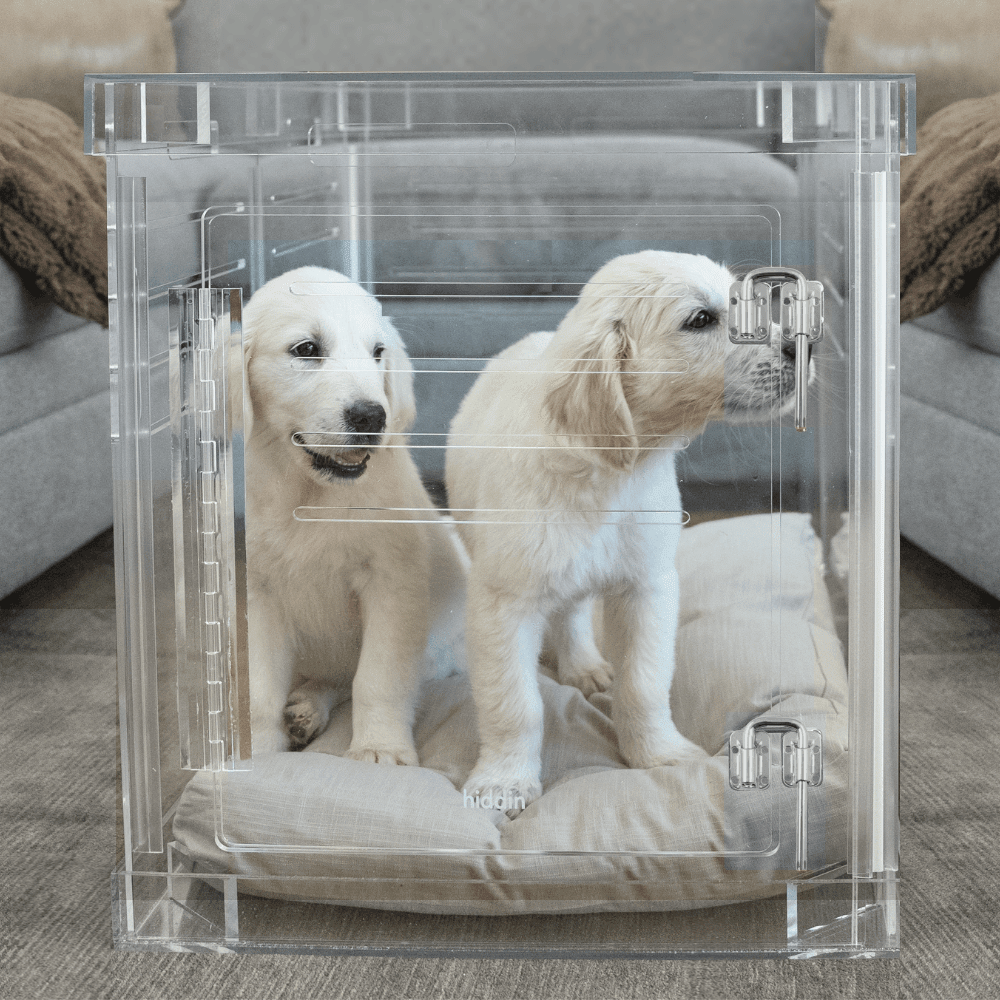 Hiddin Clear Acrylic Dog Crate – Medium, Silver Latch