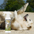Load image into Gallery viewer, Simply CC Dog Cologne for the Classically Confident Canine
