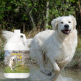 Load image into Gallery viewer, Simply CC Dog Cologne for the Classically Confident Canine
