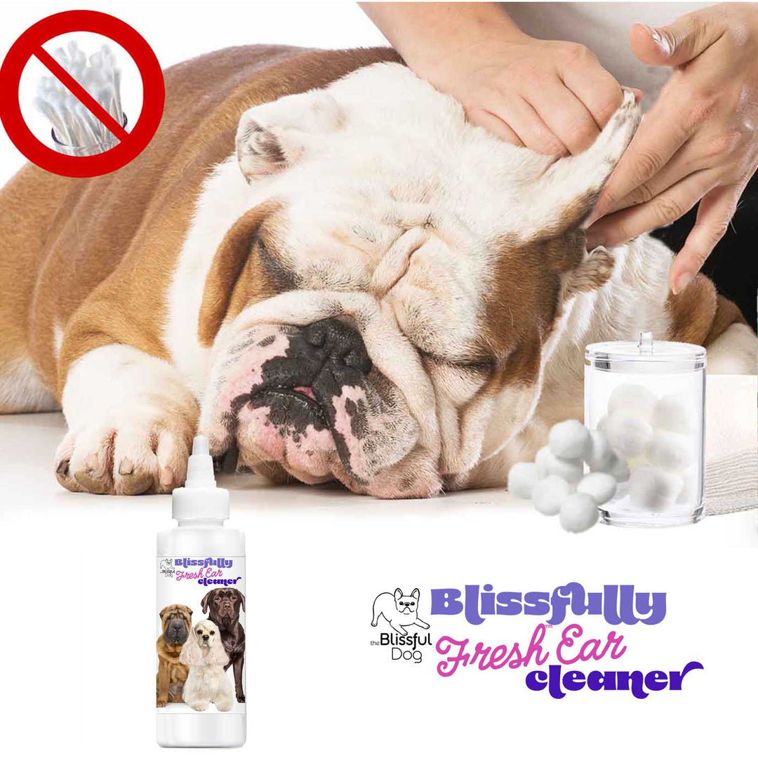 Blissfully Fresh Dog Ear Cleaner, view 2