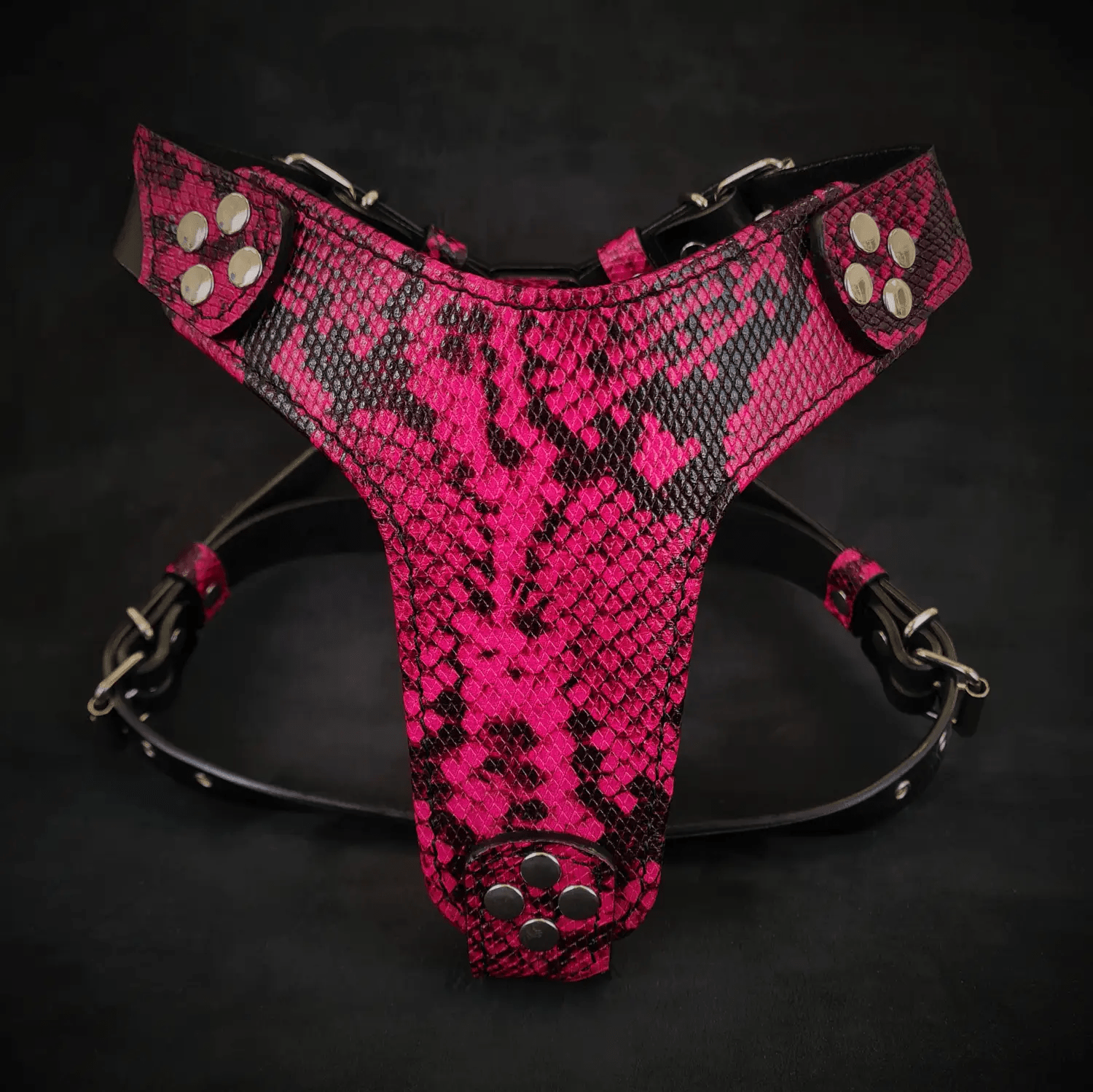 The ''Rock Python'' harness Small to Medium Size - Pet Collars & Harnesses from Bestia Dog Gear