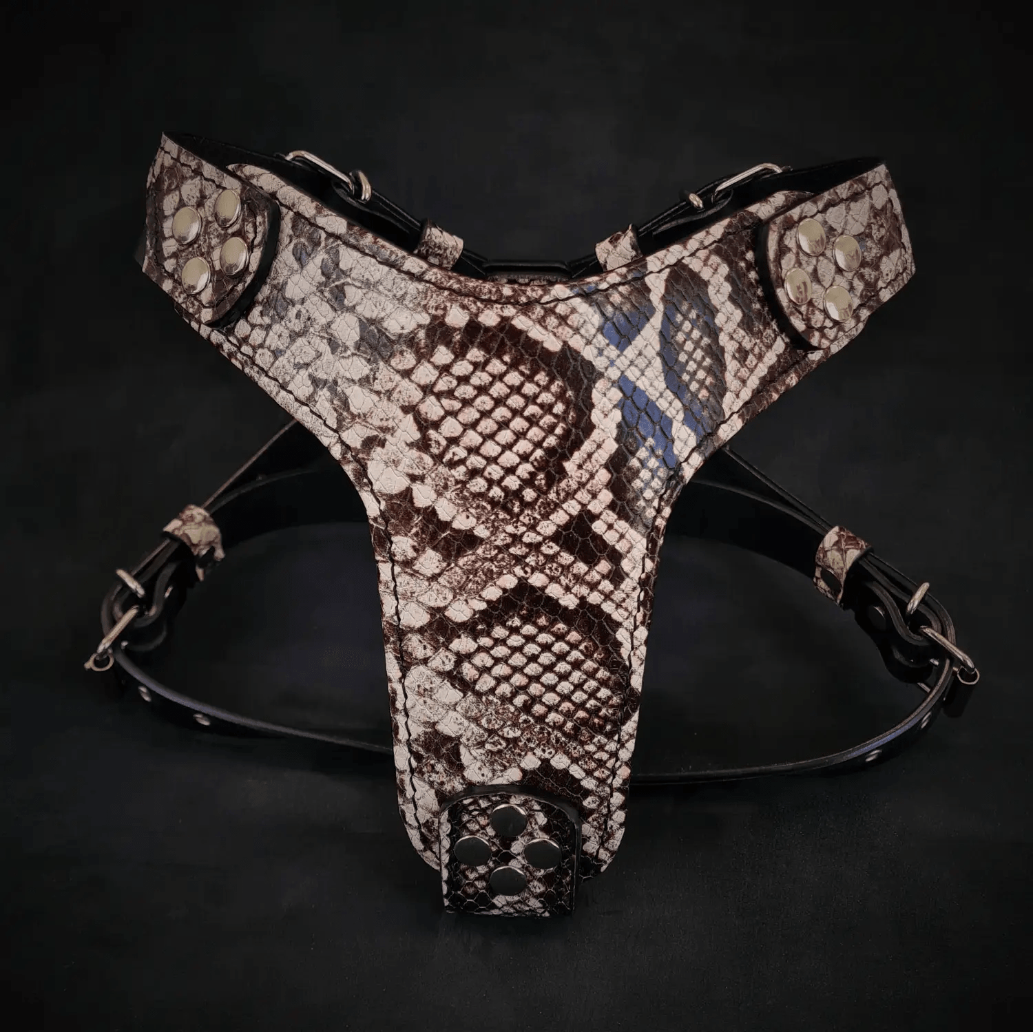 The ''Rock Python'' harness Small to Medium Size - Pet Collars & Harnesses from Bestia Dog Gear