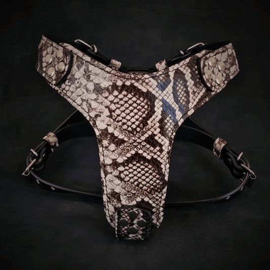 The ''Rock Python'' harness Small to Medium Size - Pet Collars & Harnesses from Bestia Dog Gear