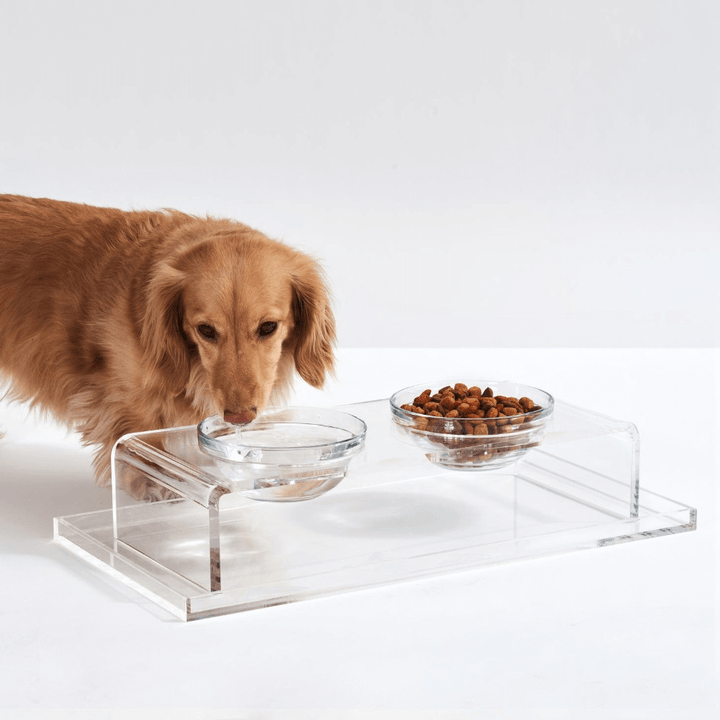 Hiddin Clear Acrylic Double Feeder with Glass Bowls – 3 in High