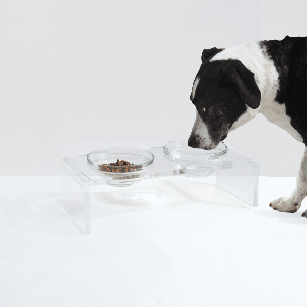 Hiddin Clear Acrylic Double Feeder with Glass Bowls – 3 in High