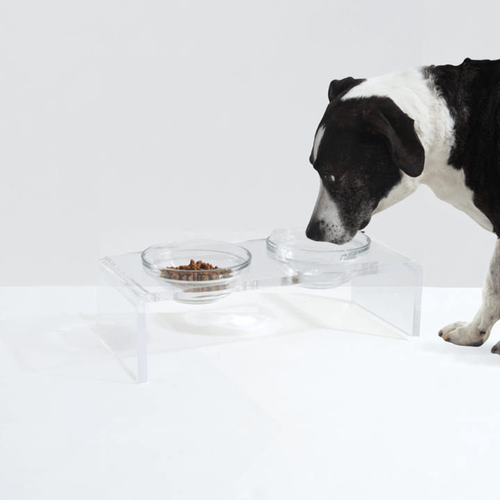 Hiddin Clear Acrylic Double Feeder with Glass Bowls – 3 in High