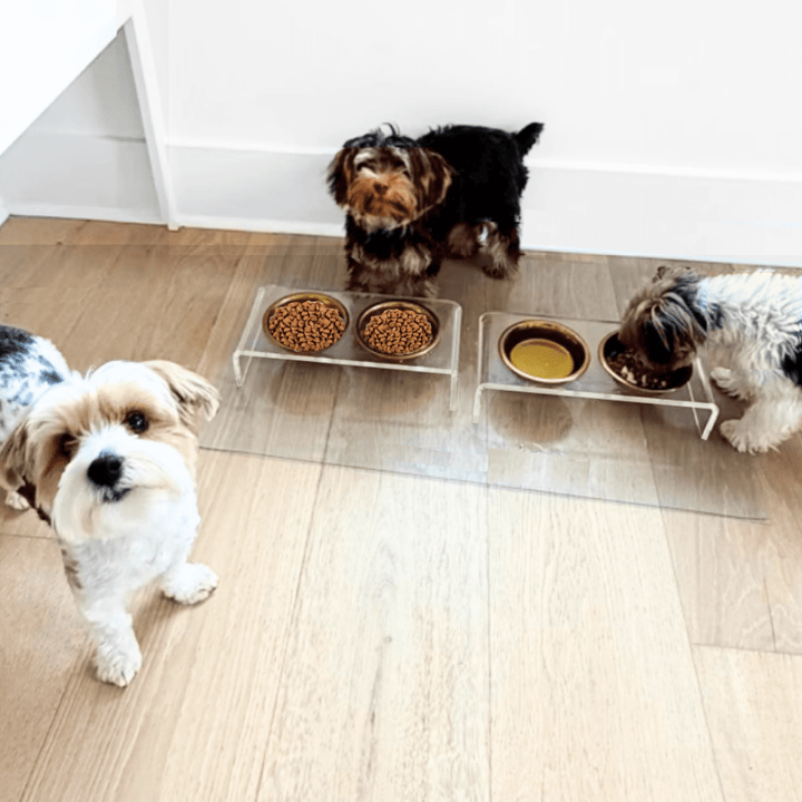 Hiddin Clear Acrylic Double Feeder with Gold Bowls – 3 in High