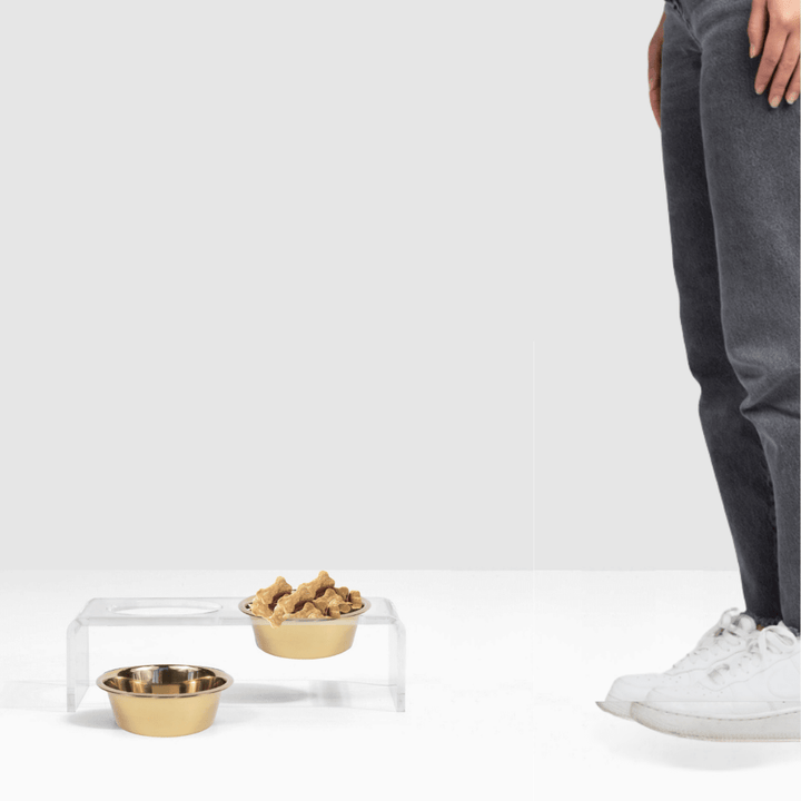 Hiddin Clear Acrylic Double Feeder with Gold Bowls – 3 in High