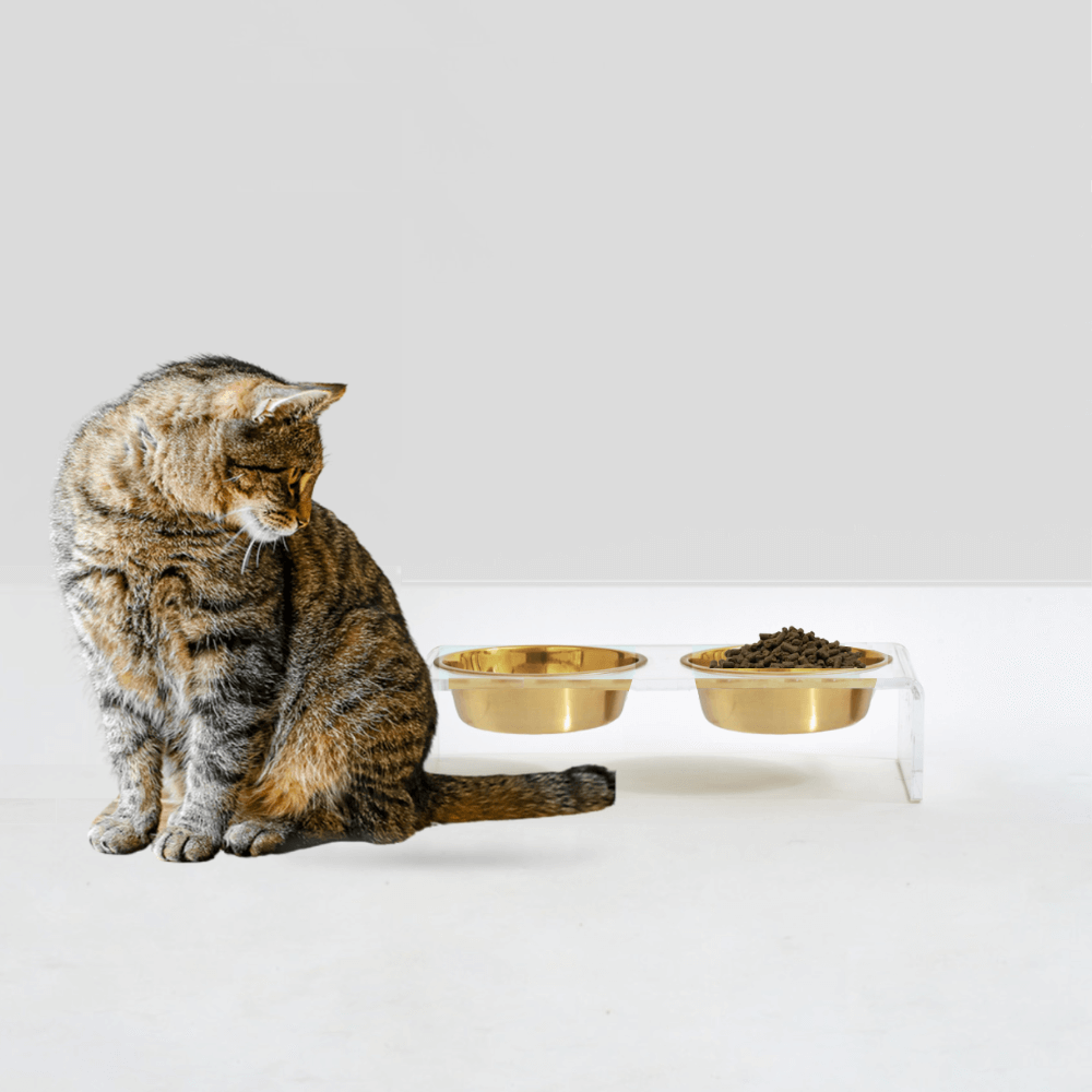 Hiddin Clear Acrylic Double Feeder with Gold Bowls – 3 in High