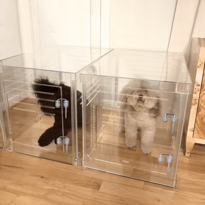Hiddin Clear Acrylic Dog Crate – Medium, Silver Latch