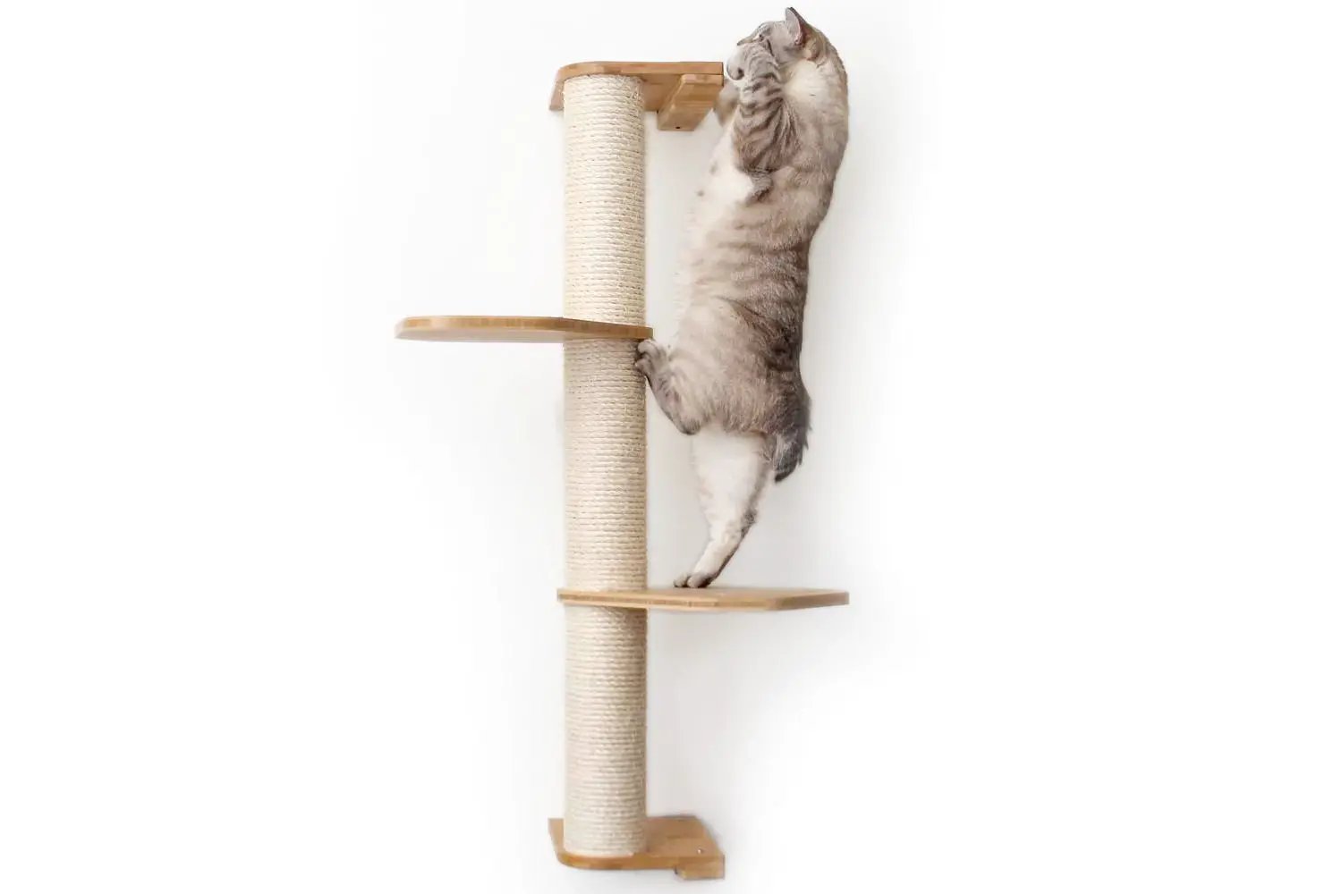 Wall Mounted Cat Climbing Pole with sisal-wrapped post and two wooden platforms; cat climbing.