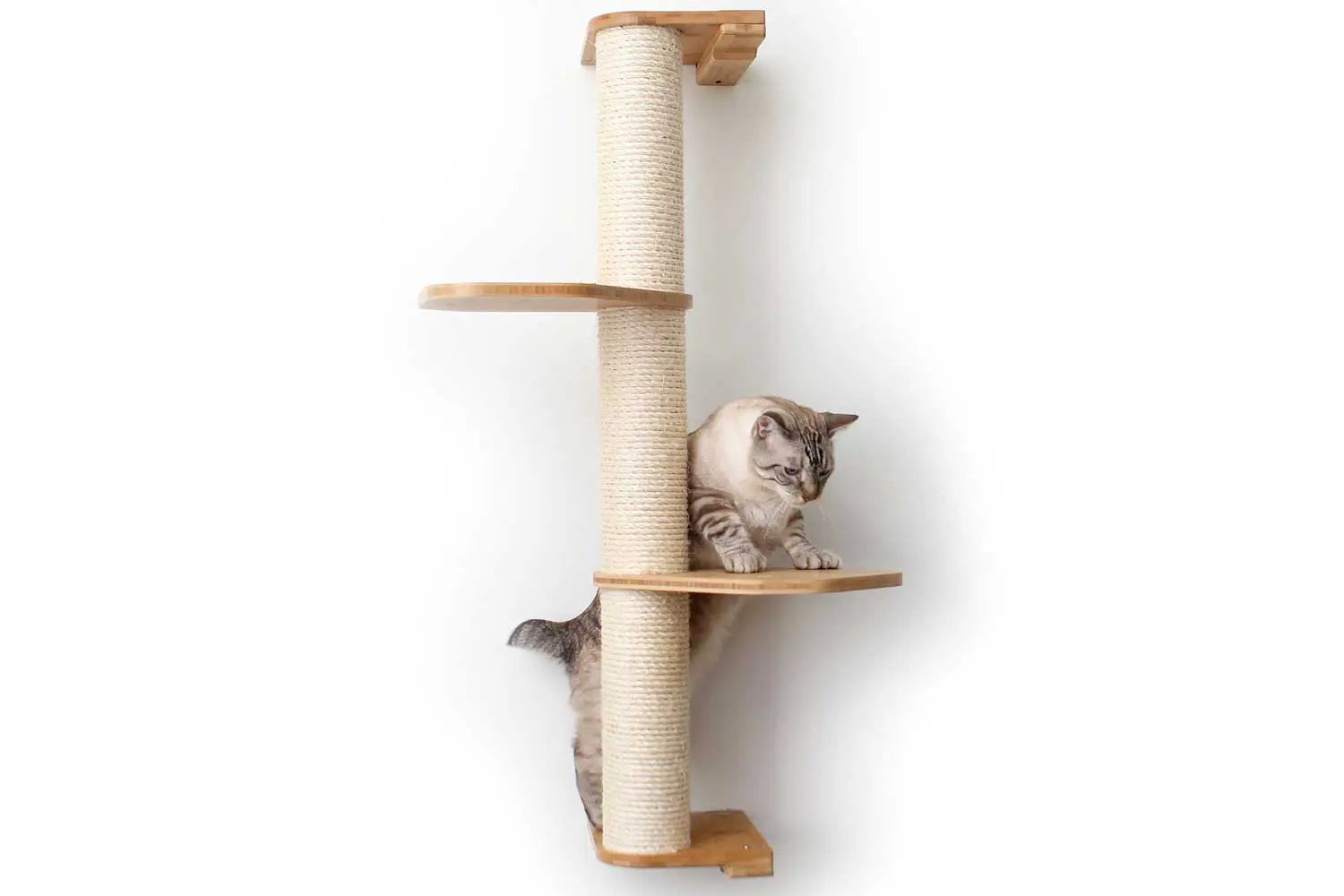 Wall Mounted Cat Climbing Pole - Sisal; natural sisal-wrapped post with two wooden platforms, cat on middle shelf.