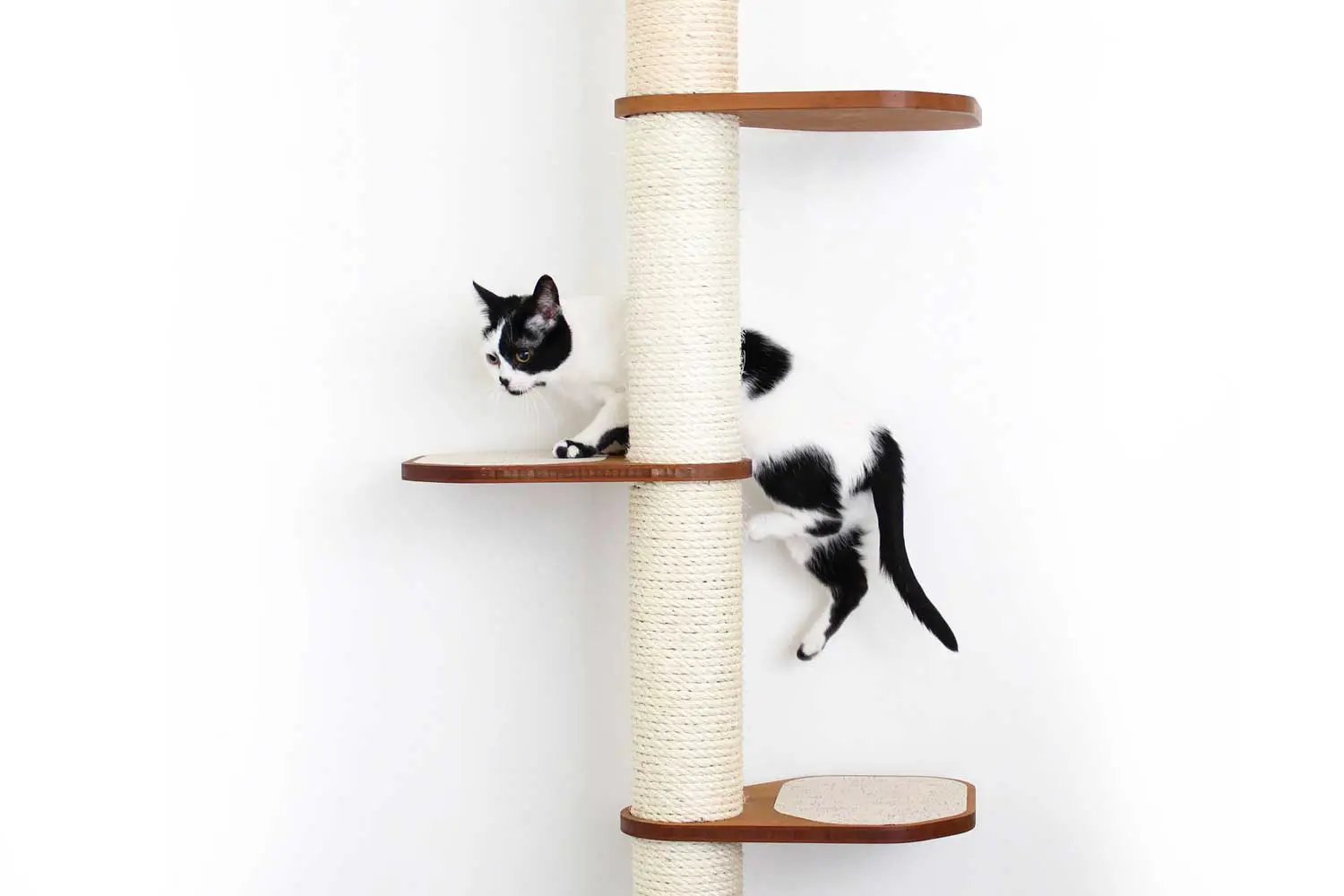 Wall Mounted Cat Climbing Pole - Sisal by Catastrophic Creations; beige sisal rope with wooden platforms.