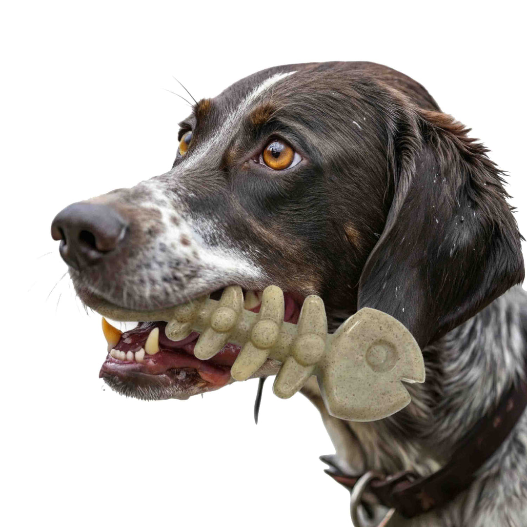SodaPup Fish Bone nylon dog chew toy in purple and brown, view 5