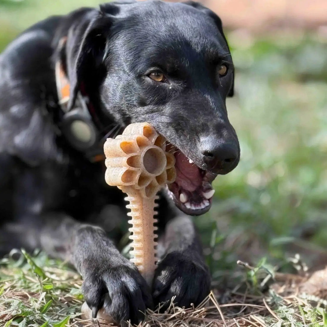 SodaPup Flower Tower nylon dog chew toy in XL, view 2