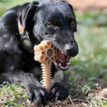 Load image into Gallery viewer, Honey Bone Dental Flower Tower - Indestructible Nylon Dog Chew Toy XL | USA
