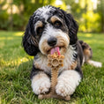 Load image into Gallery viewer, Honey Bone Dental Flower Tower - Indestructible Nylon Dog Chew Toy XL | USA
