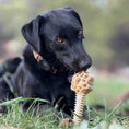 Load image into Gallery viewer, Honey Bone Dental Flower Tower - Indestructible Nylon Dog Chew Toy XL | USA
