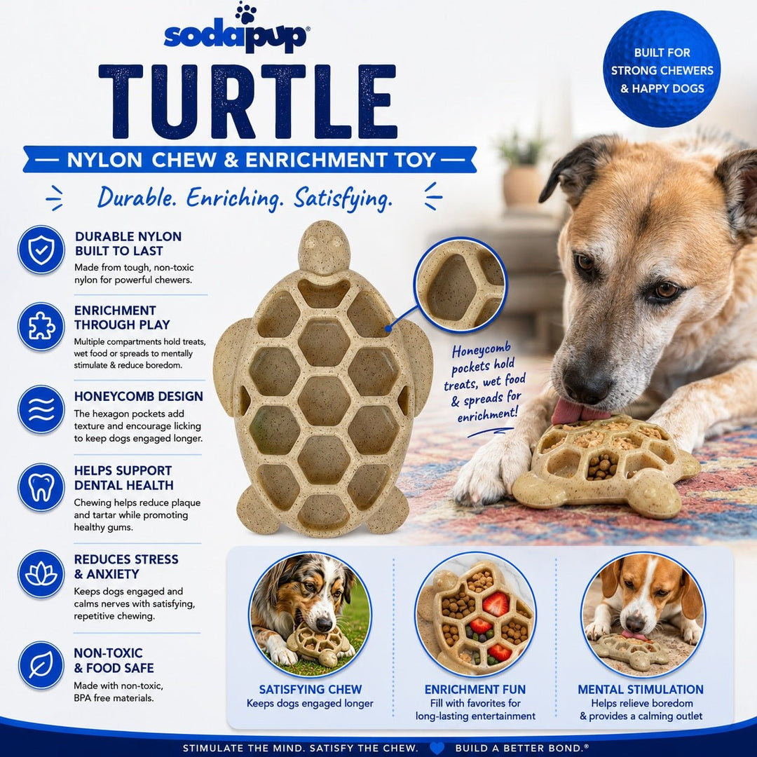 SodaPup Turtle eChew nylon dog chew toy in brown, view 3