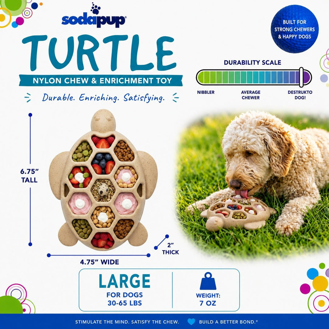 SodaPup Turtle eChew nylon dog chew toy in brown, view 4