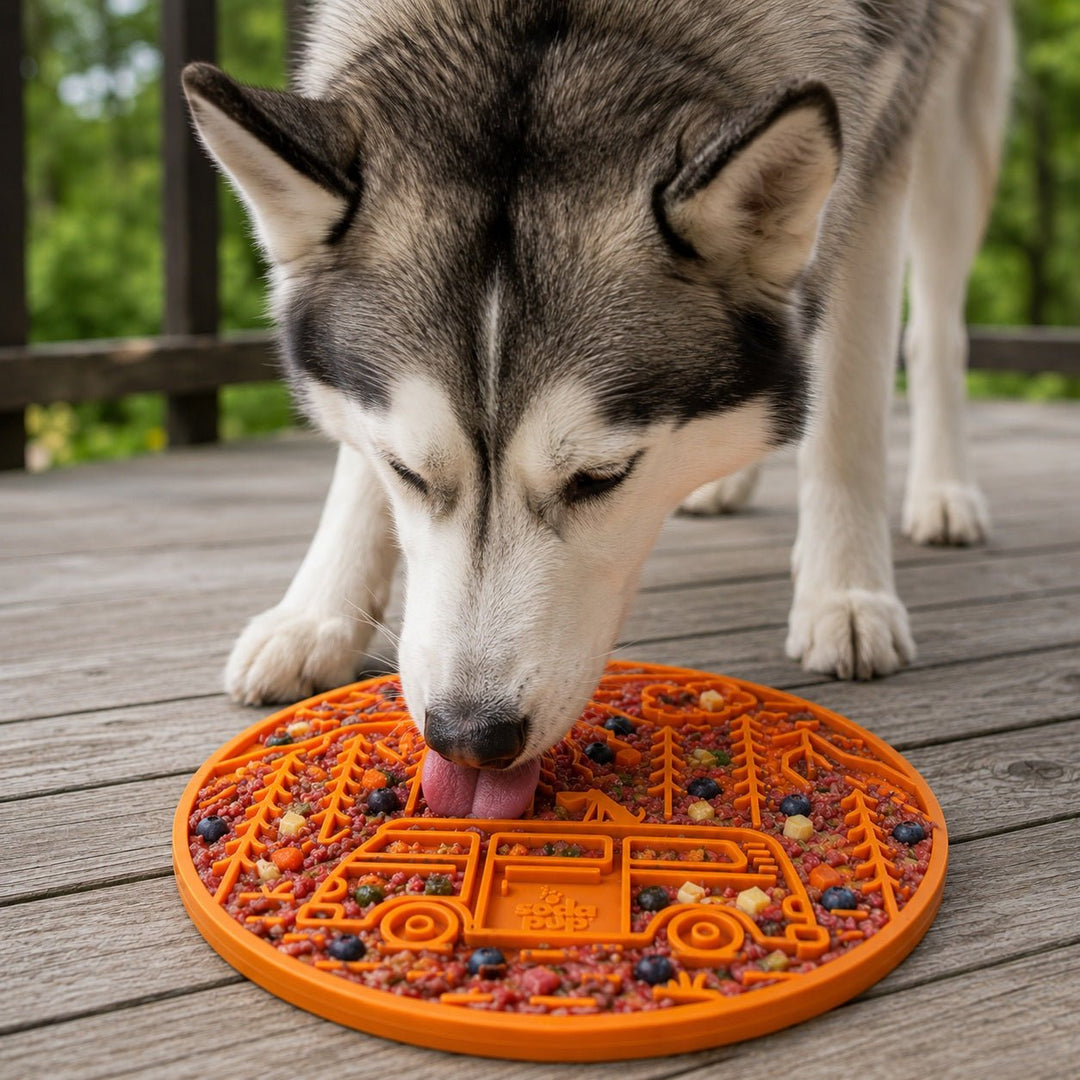 SodaPup Camp eMat TPE dog lick mat with suction cups, view 11
