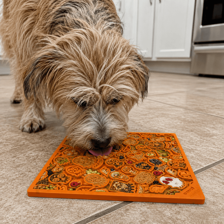 SodaPup Zombie eMat TPE lick mat in black or orange, view 4