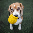 Cargar la imagen en la vista de la galería, Honey Pot Dog eCup Treat Dispenser | Durable PUP-X Rubber Enrichment Toy | USA Made
