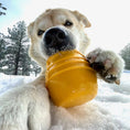 Cargar la imagen en la vista de la galería, Honey Pot Dog eCup Treat Dispenser | Durable PUP-X Rubber Enrichment Toy | USA Made
