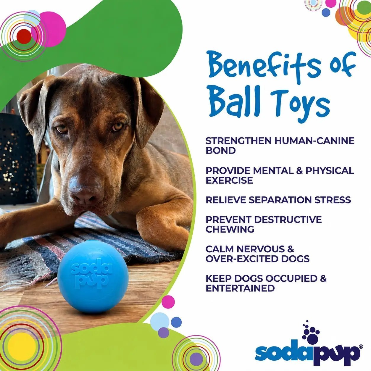 Squeak Ball - Giocattolo per cani durevole con squeaker, galleggiante, da masticare | Prodotto negli USA