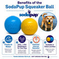 Carica l'immagine nel visualizzatore della galleria, Squeak Ball - Giocattolo per cani durevole con squeaker, galleggiante, da masticare | Prodotto negli USA
