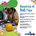 Carica l'immagine nel visualizzatore della galleria, Squeak Ball - Giocattolo per cani durevole con squeaker, galleggiante, da masticare | Prodotto negli USA
