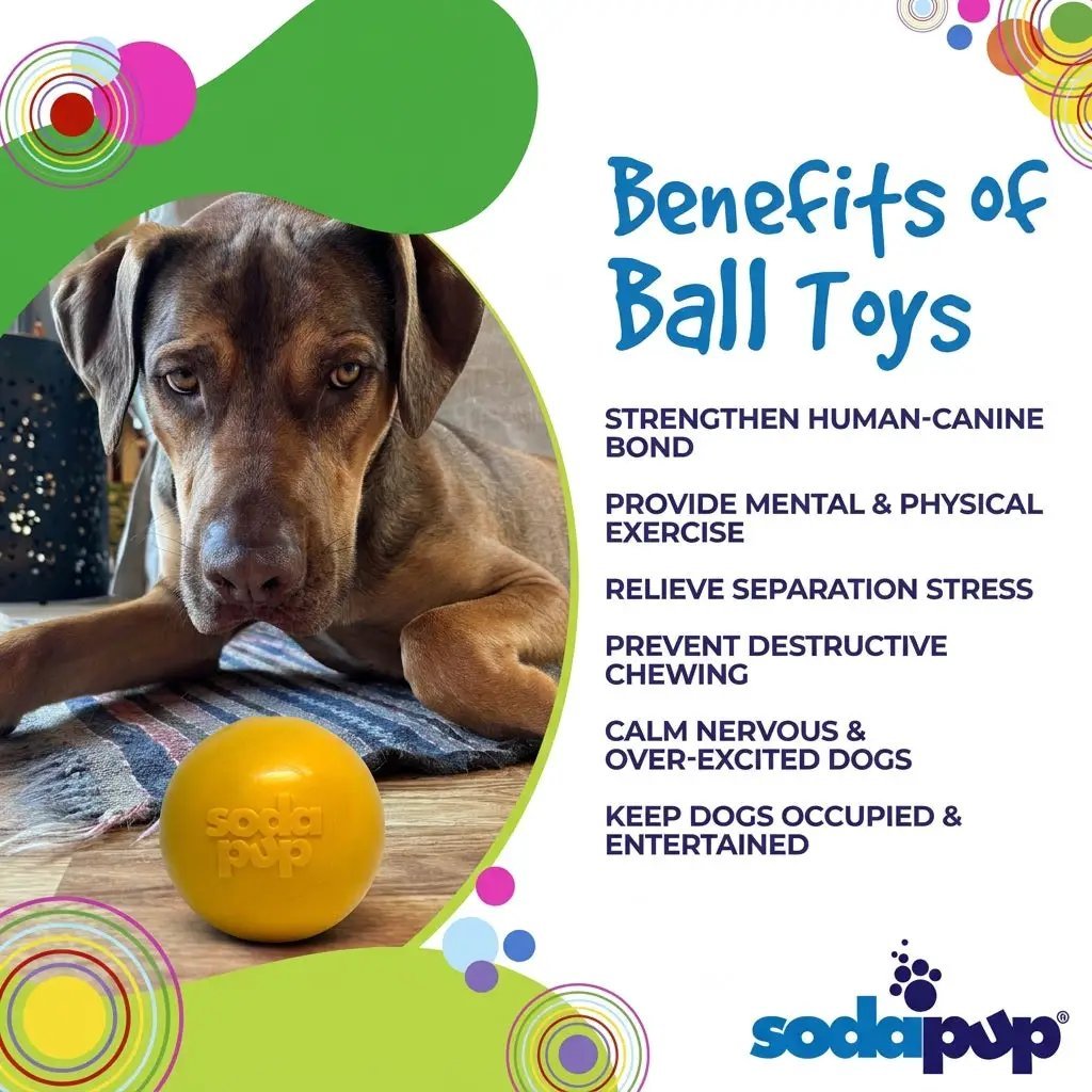 Squeak Ball - Giocattolo per cani durevole con squeaker, galleggiante, da masticare | Prodotto negli USA