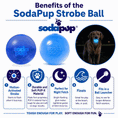 Charger l'image dans la visionneuse de la galerie, SodaPup Strobe Ball Light Up Dog Toy Durable Floating Heavy Duty USA by SodaPup/True Dogs, LLC
